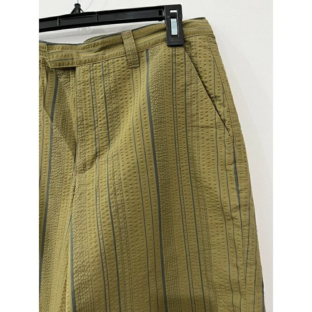 Patagonia Size Men's 30 Organic Cotton Shorts GREEN Stripe